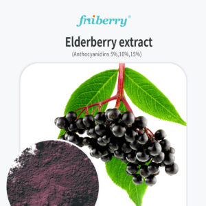 Fniberry®Elderberry Extract