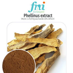 Fni® Phellinus Extract